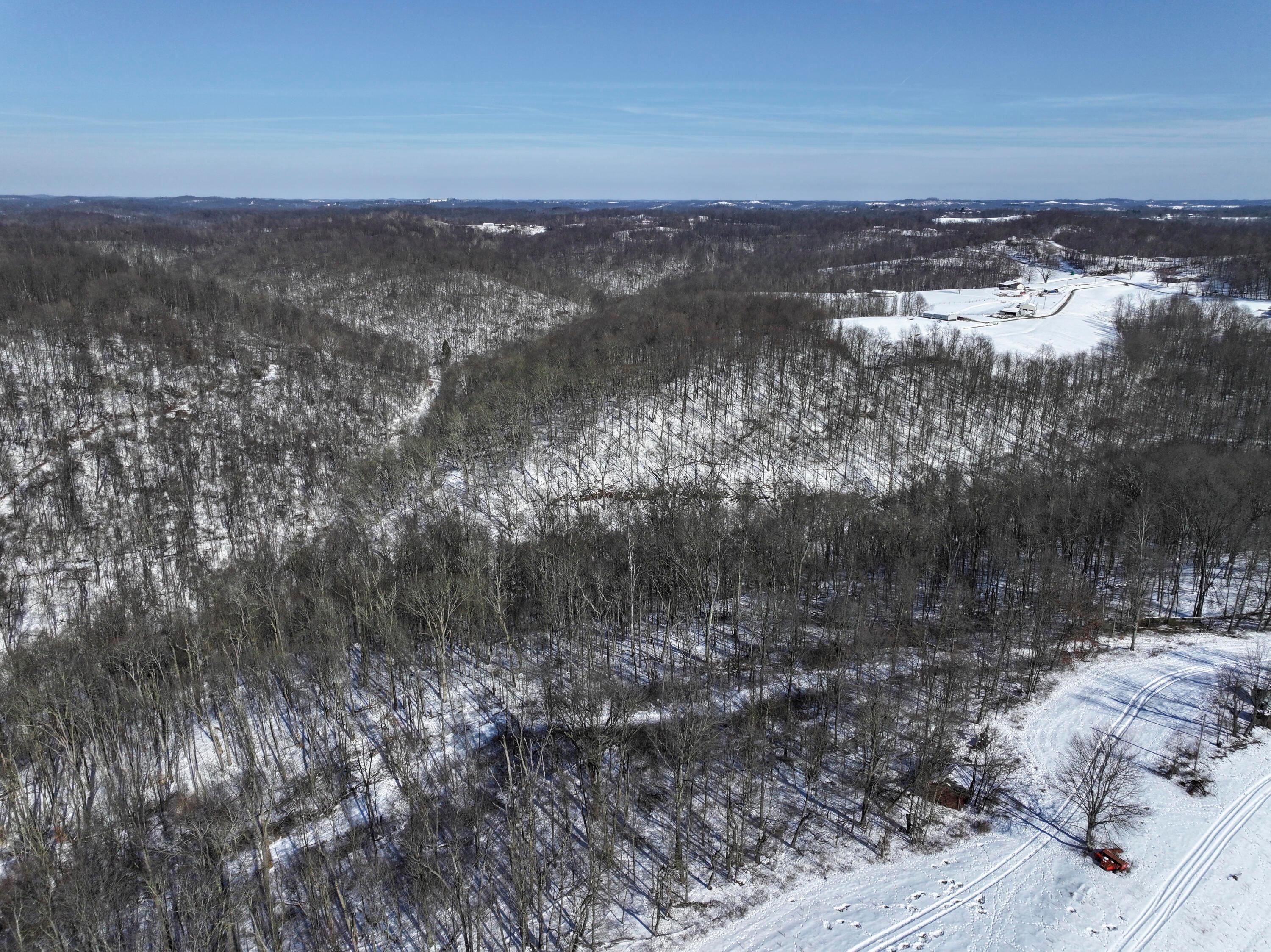 4 Twp Road Woodsfield, OH 43793 - Photo 11 of 31 Tract 4_TD-3