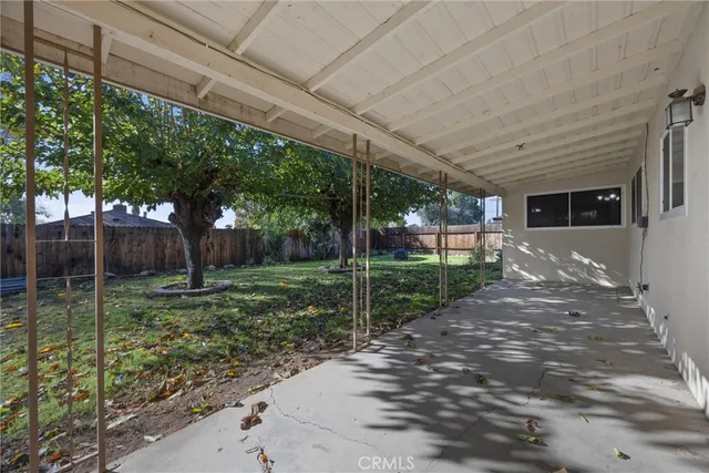 a view of a backyard with plants and large trees with wooden fence