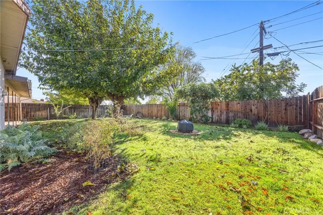 a view of a yard with plants and tree