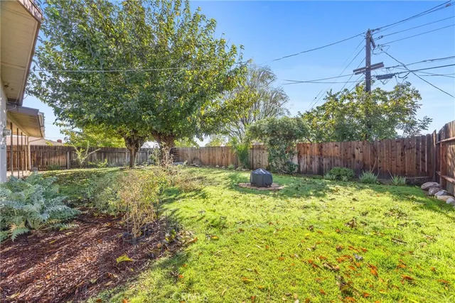 a view of a yard with plants and tree