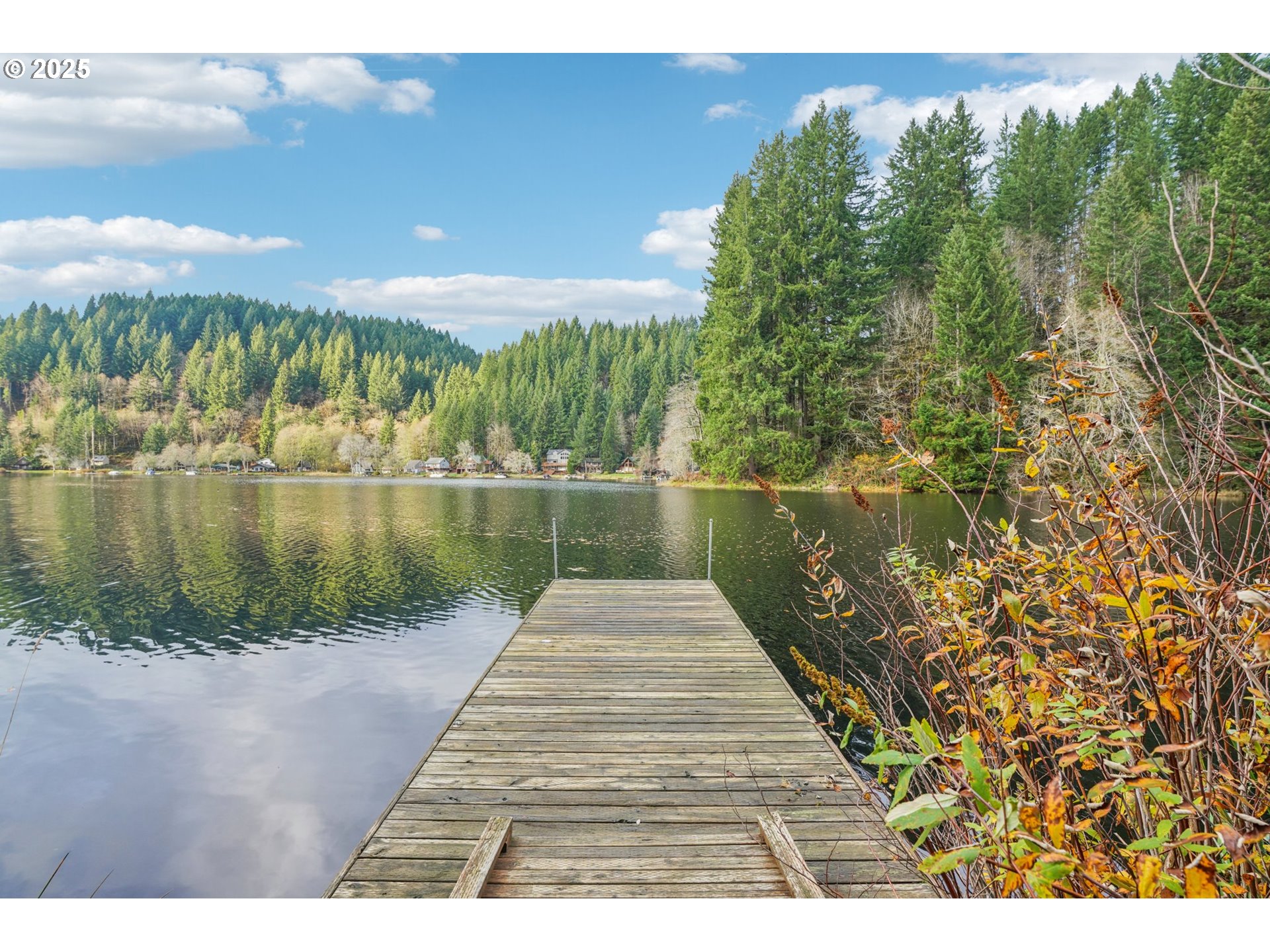 71461 Fishhawk Road Clatskanie, OR 97016 - Photo 46 of 48