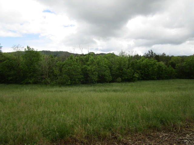 744 Clinch Valley Road Powder Springs, TN 37848 - Photo 11 of 13 IMG_0716