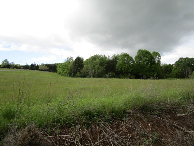 744 Clinch Valley Road Powder Springs, TN 37848 - Photo 12 of 13 IMG_0718