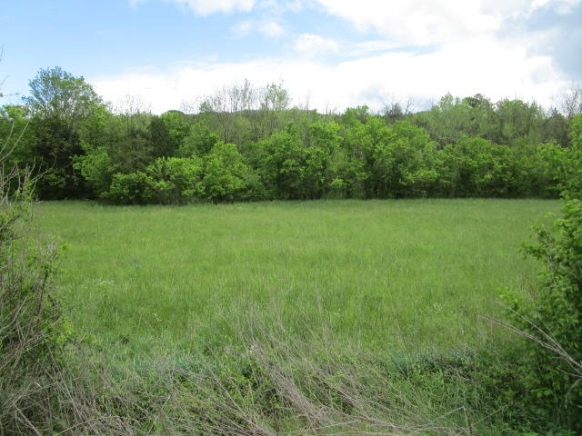 744 Clinch Valley Road Powder Springs, TN 37848 - Photo 4 of 13 IMG_0707