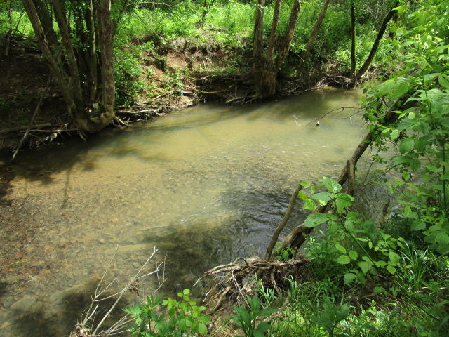 744 Clinch Valley Road Powder Springs, TN 37848 - Photo 5 of 13 IMG_0710