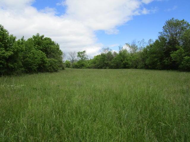 744 Clinch Valley Road Powder Springs, TN 37848 - Photo 6 of 13 IMG_0708