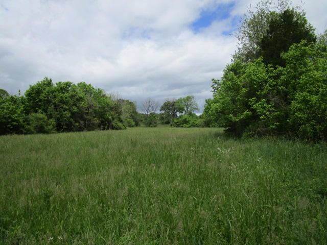 744 Clinch Valley Road Powder Springs, TN 37848 - Photo 7 of 13 IMG_0709