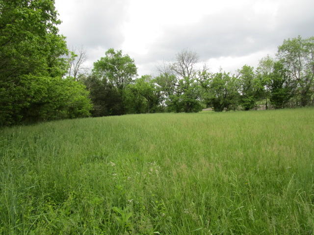 744 Clinch Valley Road Powder Springs, TN 37848 - Photo 10 of 13 IMG_0715