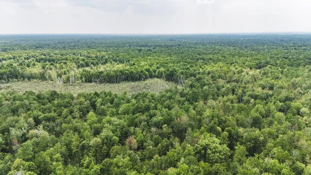 $329,500 | V/l North Sturgeon Road, Midland, MI 48642