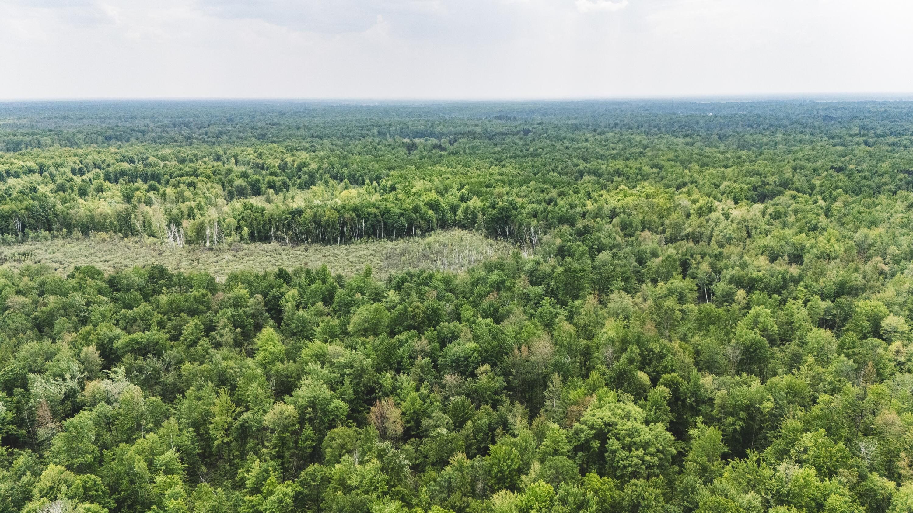 V/l North Sturgeon Road Midland, MI 48642 - Photo 11 of 36 Drone-3_D