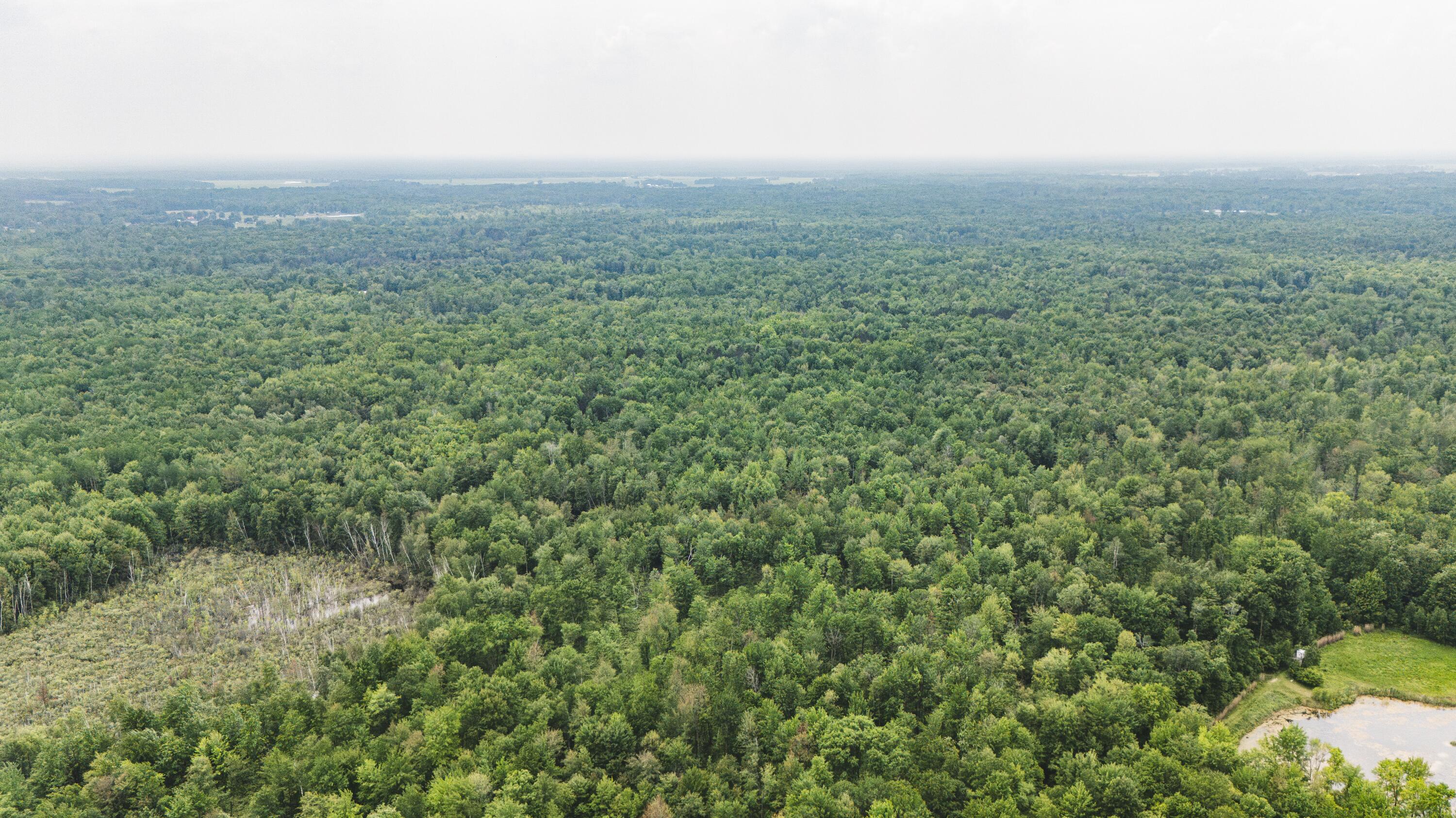 V/l North Sturgeon Road Midland, MI 48642 - Photo 12 of 36 Drone-4_D