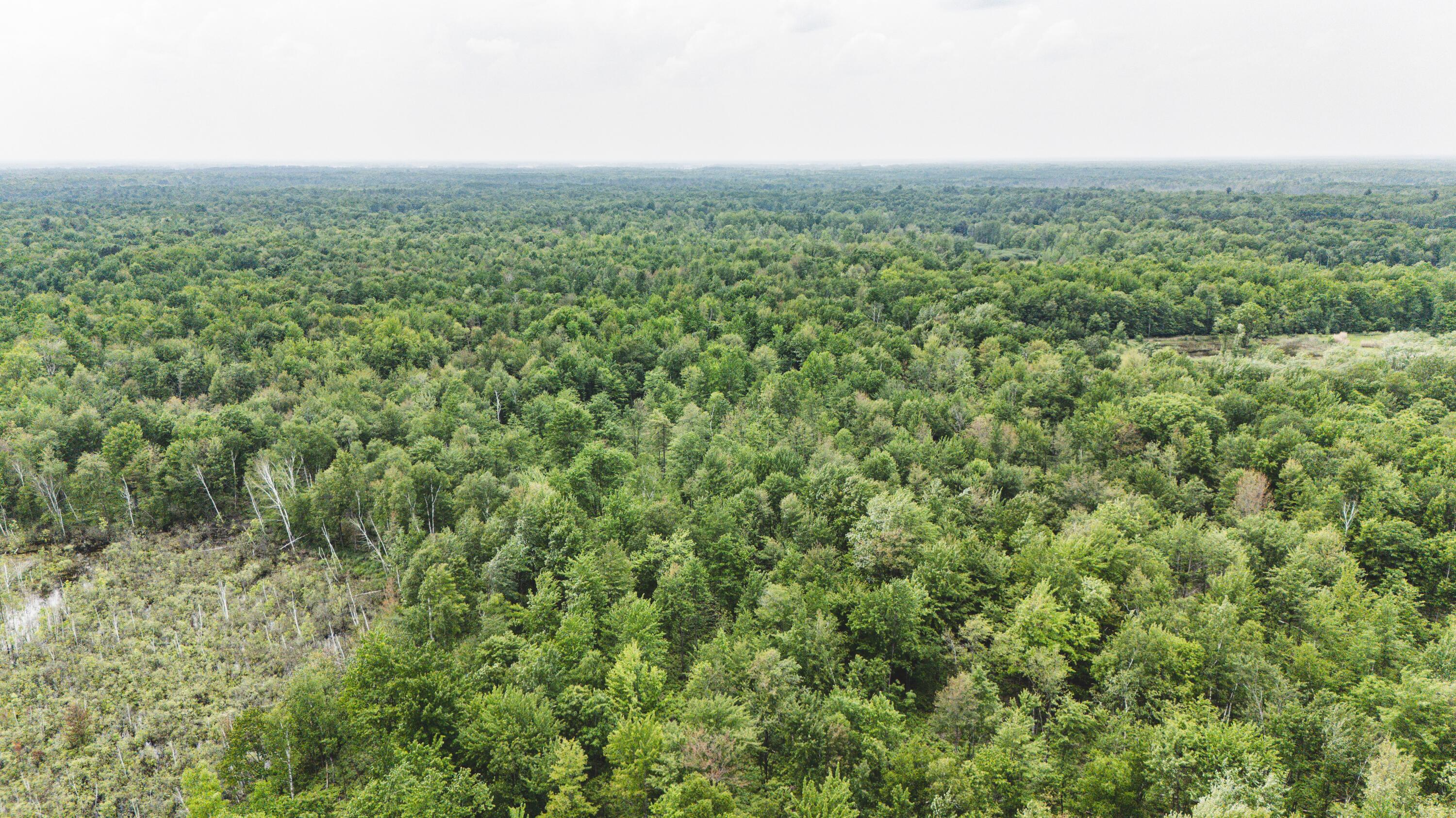 V/l North Sturgeon Road Midland, MI 48642 - Photo 13 of 36 Drone-5_D