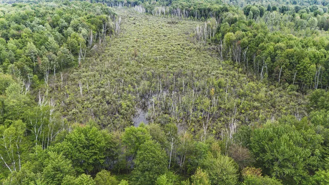 $329,500 | V/l North Sturgeon Road, Midland, MI 48642