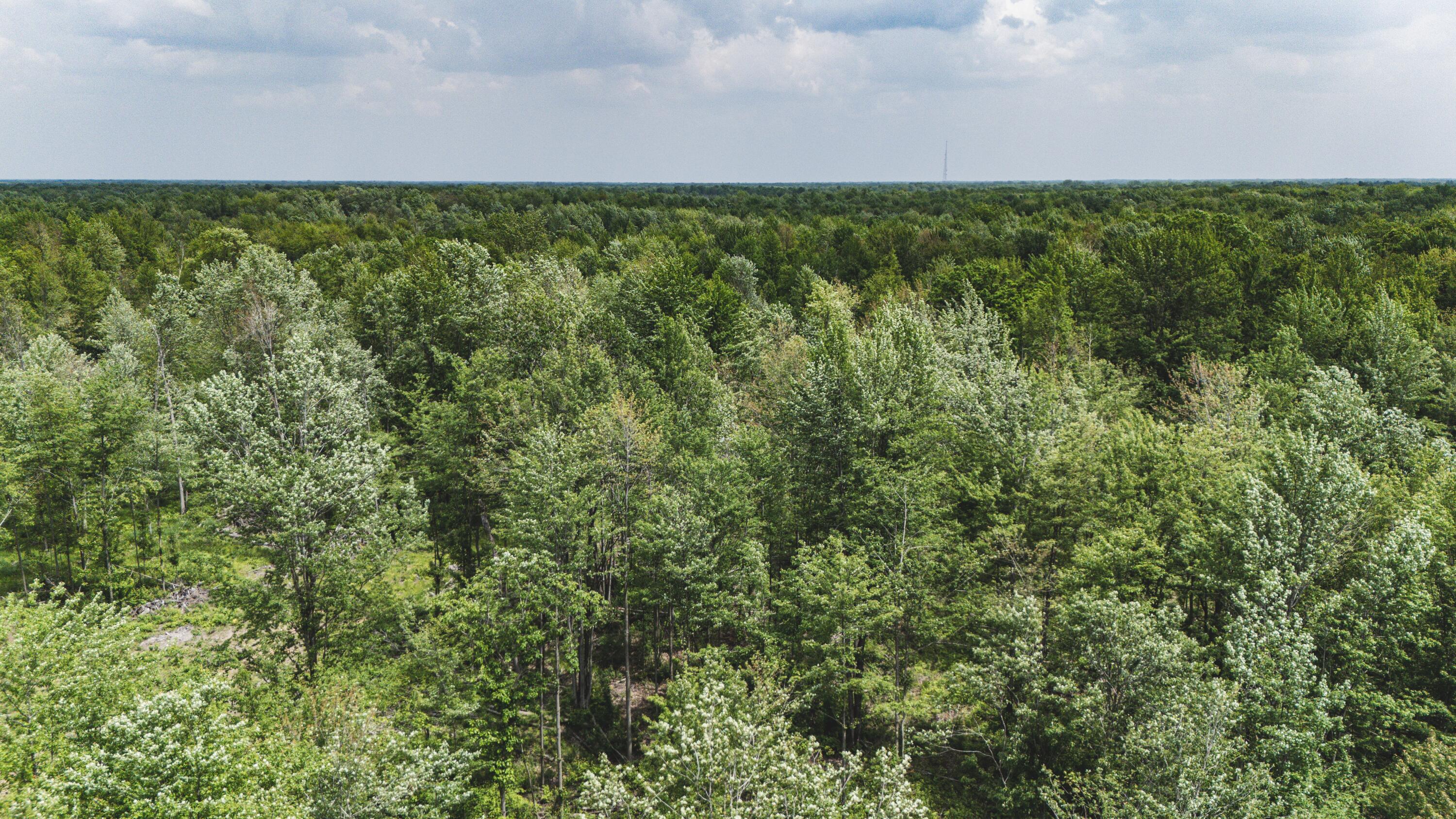 V/l North Sturgeon Road Midland, MI 48642 - Photo 16 of 36 Drone-10_D