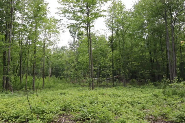 $329,500 | V/l North Sturgeon Road, Midland, MI 48642