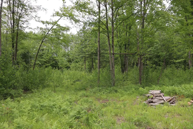 $329,500 | V/l North Sturgeon Road, Midland, MI 48642