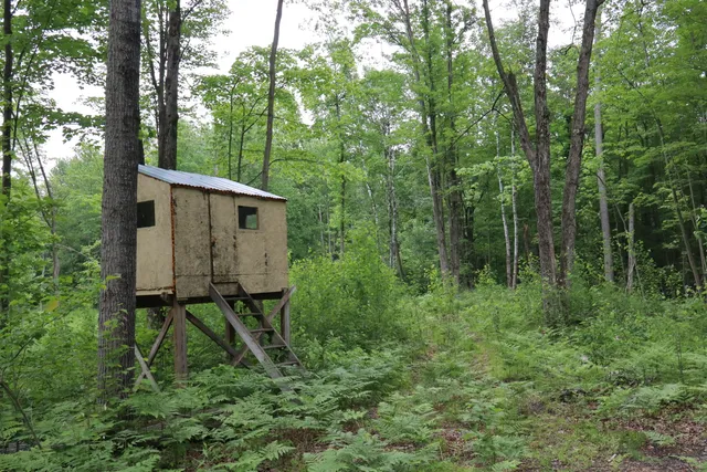 $329,500 | V/l North Sturgeon Road, Midland, MI 48642