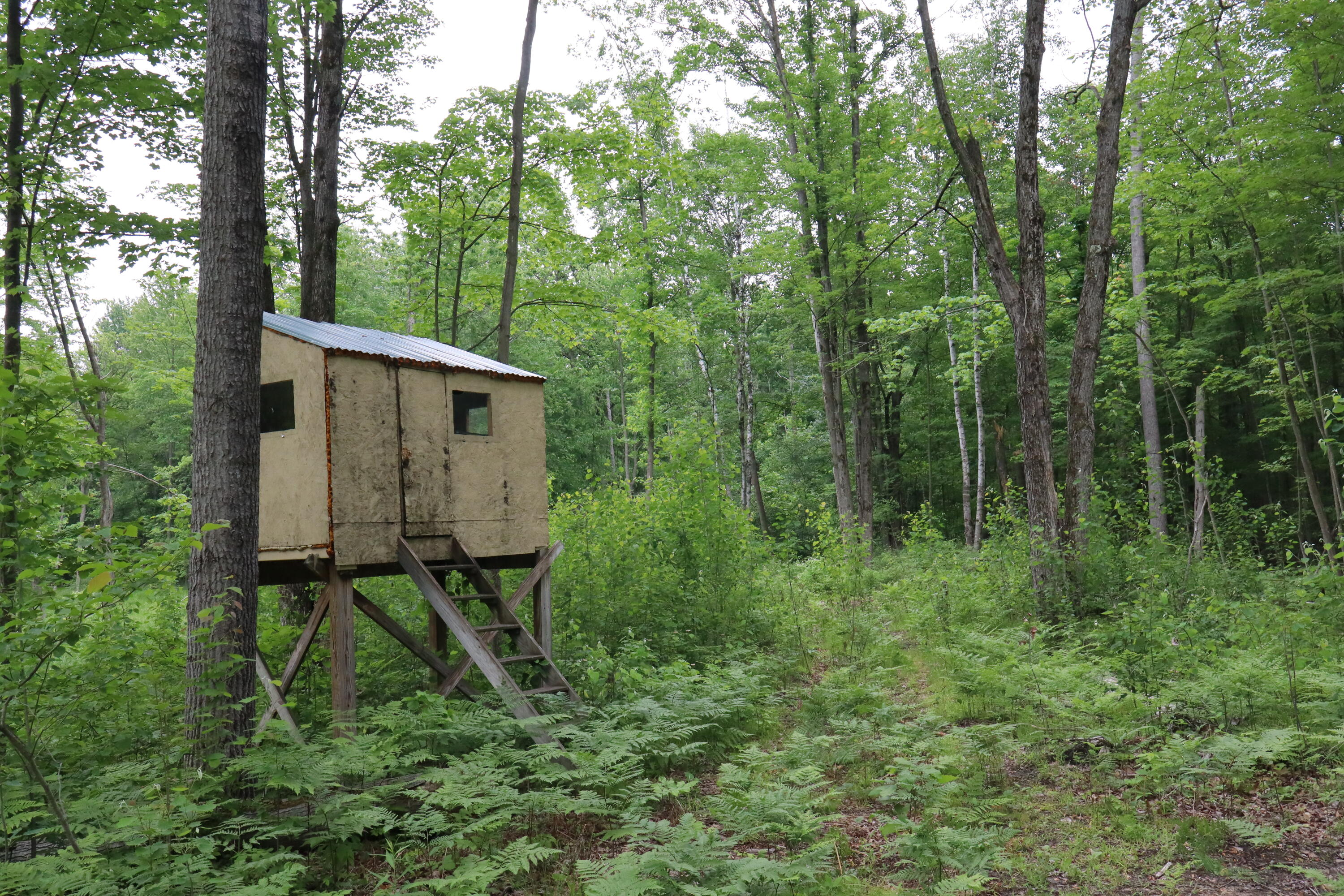 V/l North Sturgeon Road Midland, MI 48642 - Photo 2 of 36 002