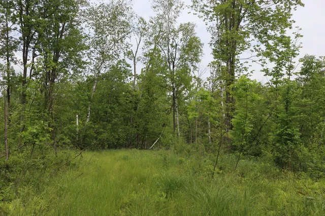 $329,500 | V/l North Sturgeon Road, Midland, MI 48642