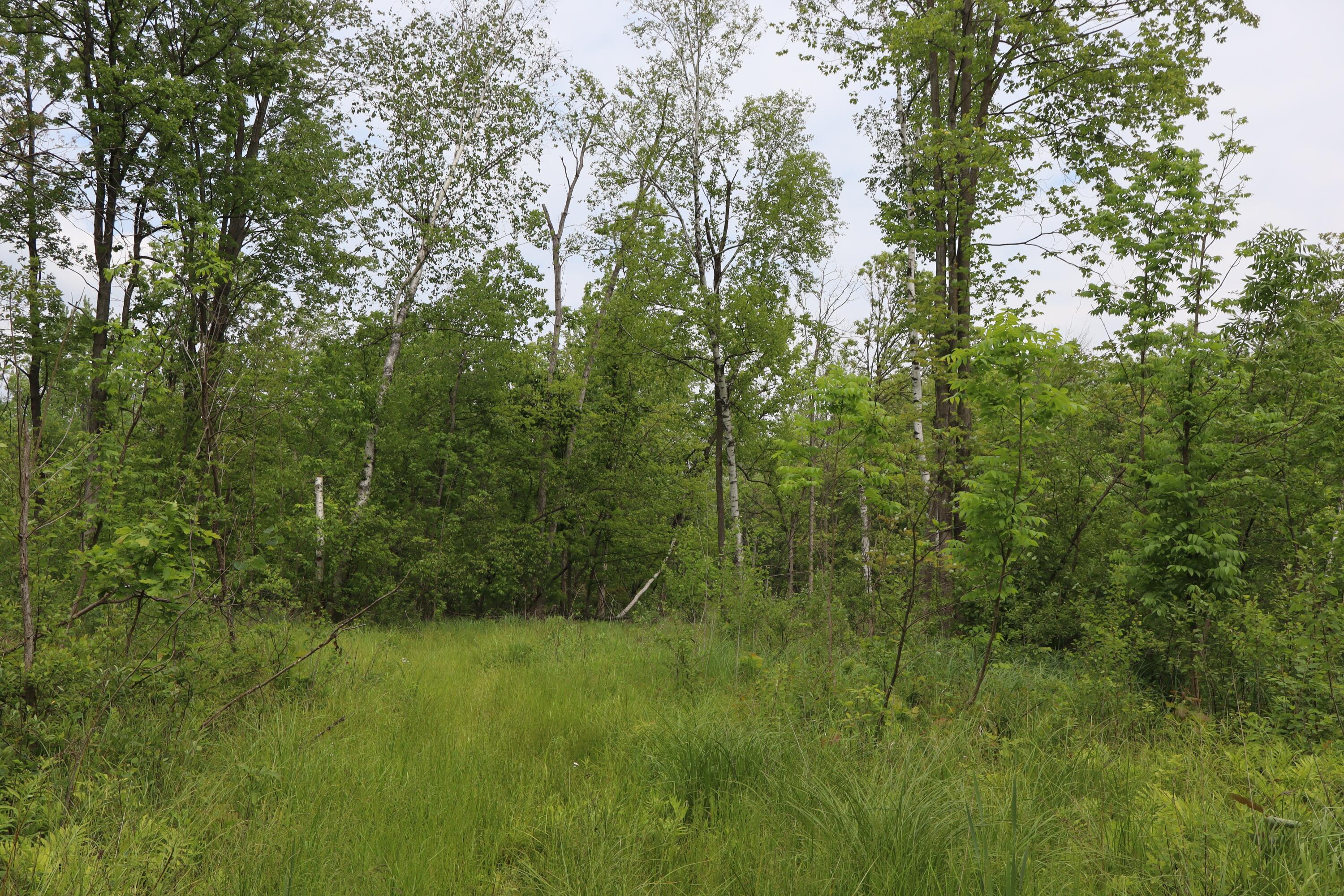 V/l North Sturgeon Road Midland, MI 48642 - Photo 21 of 36 IMG_0864