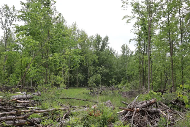 $329,500 | V/l North Sturgeon Road, Midland, MI 48642