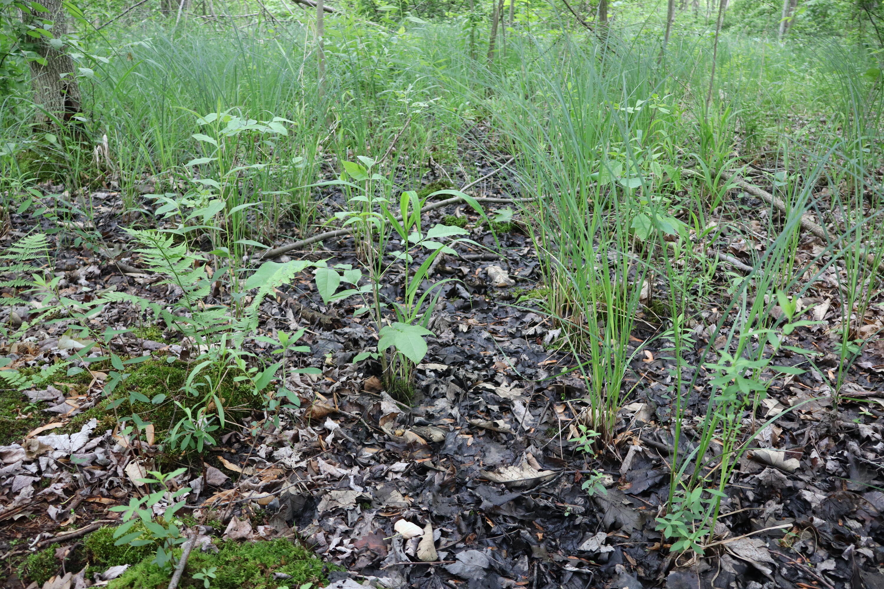 V/l North Sturgeon Road Midland, MI 48642 - Photo 23 of 36 IMG_0866