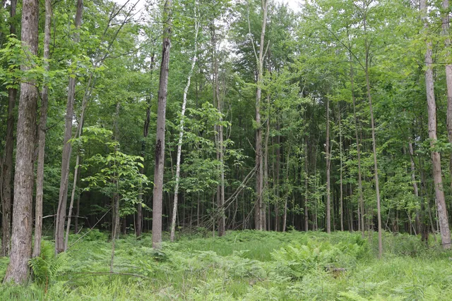 $329,500 | V/l North Sturgeon Road, Midland, MI 48642