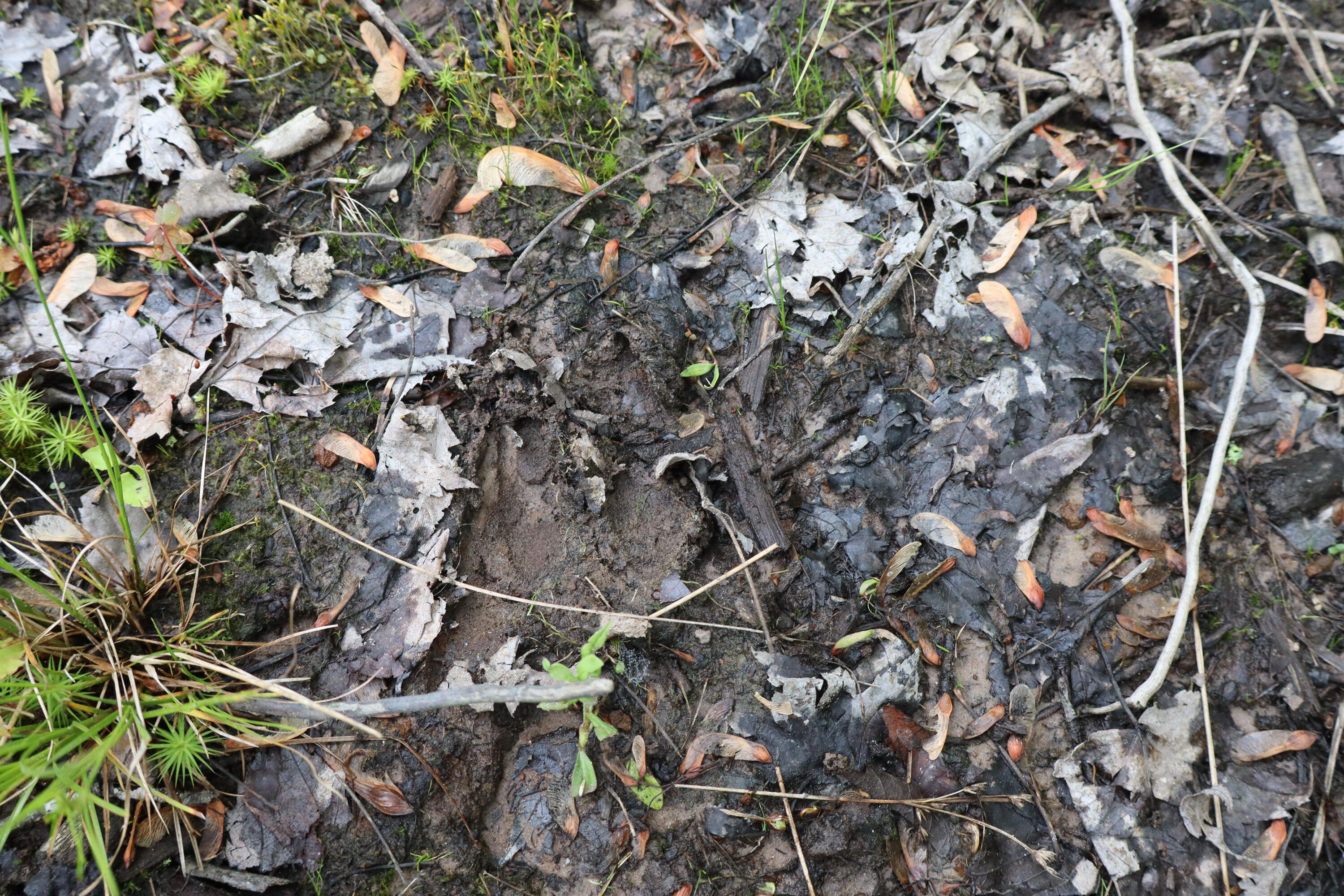 V/l North Sturgeon Road Midland, MI 48642 - Photo 28 of 36 IMG_0872