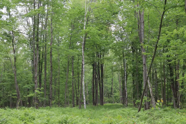 $329,500 | V/l North Sturgeon Road, Midland, MI 48642