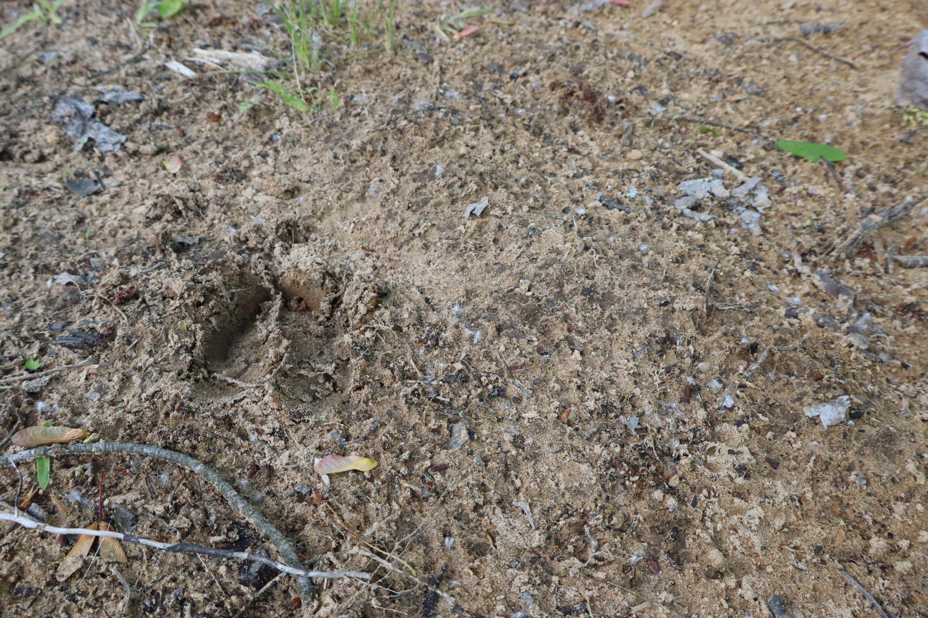 V/l North Sturgeon Road Midland, MI 48642 - Photo 3 of 36 003