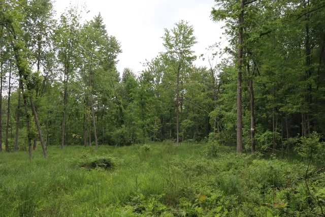 $329,500 | V/l North Sturgeon Road, Midland, MI 48642