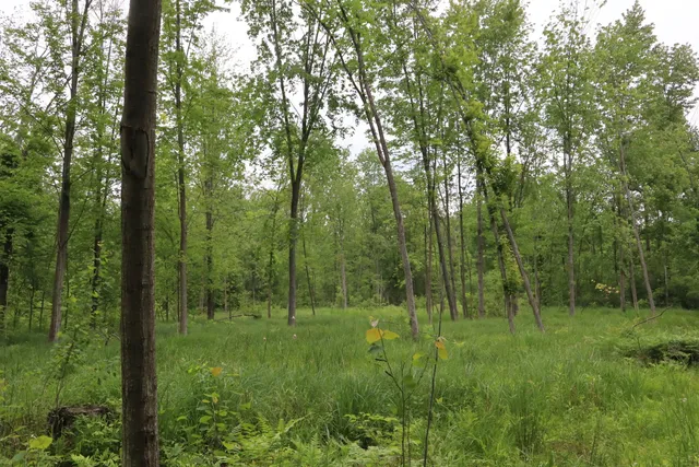 $329,500 | V/l North Sturgeon Road, Midland, MI 48642