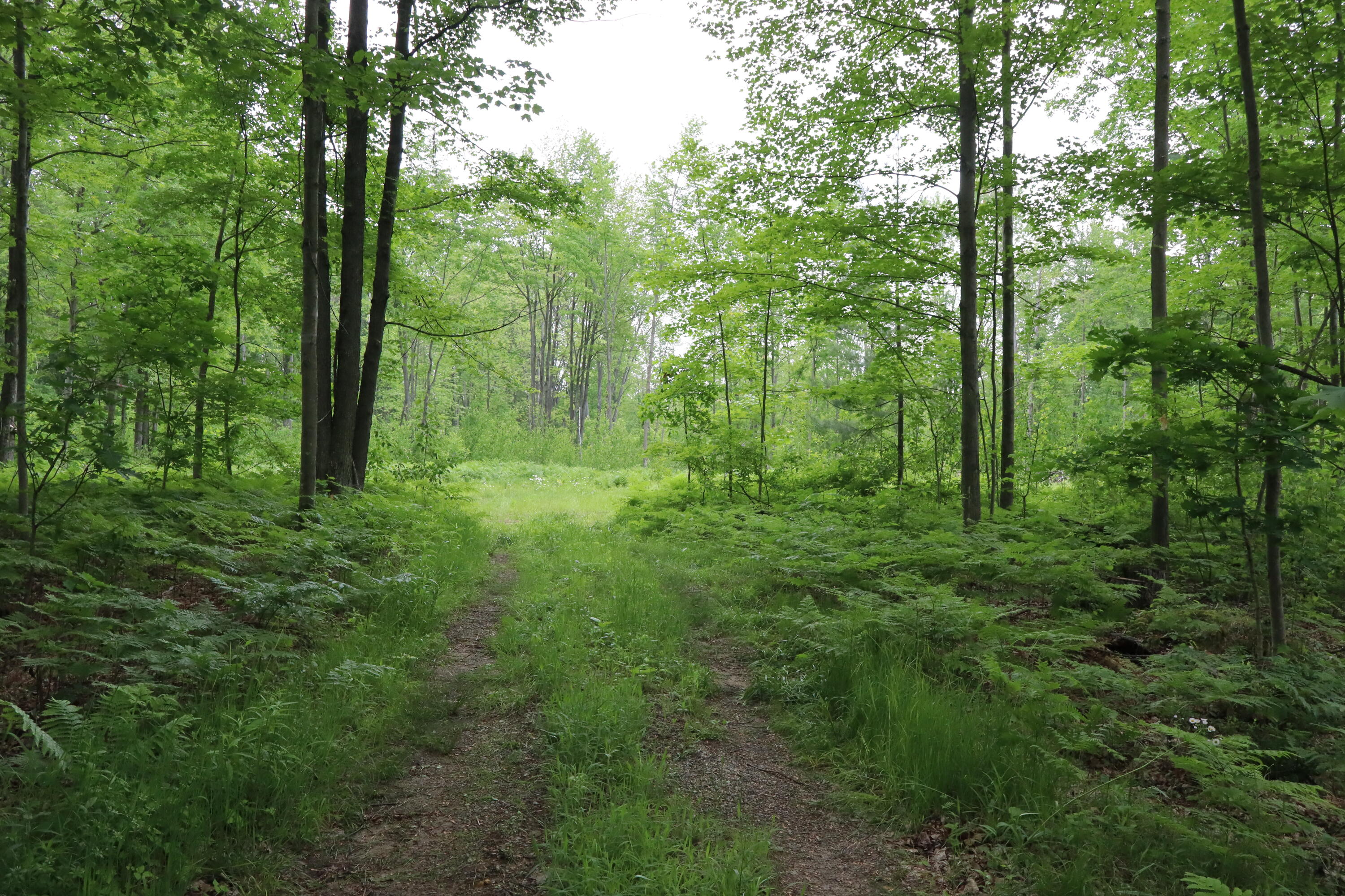 V/l North Sturgeon Road Midland, MI 48642 - Photo 34 of 36 IMG_0882