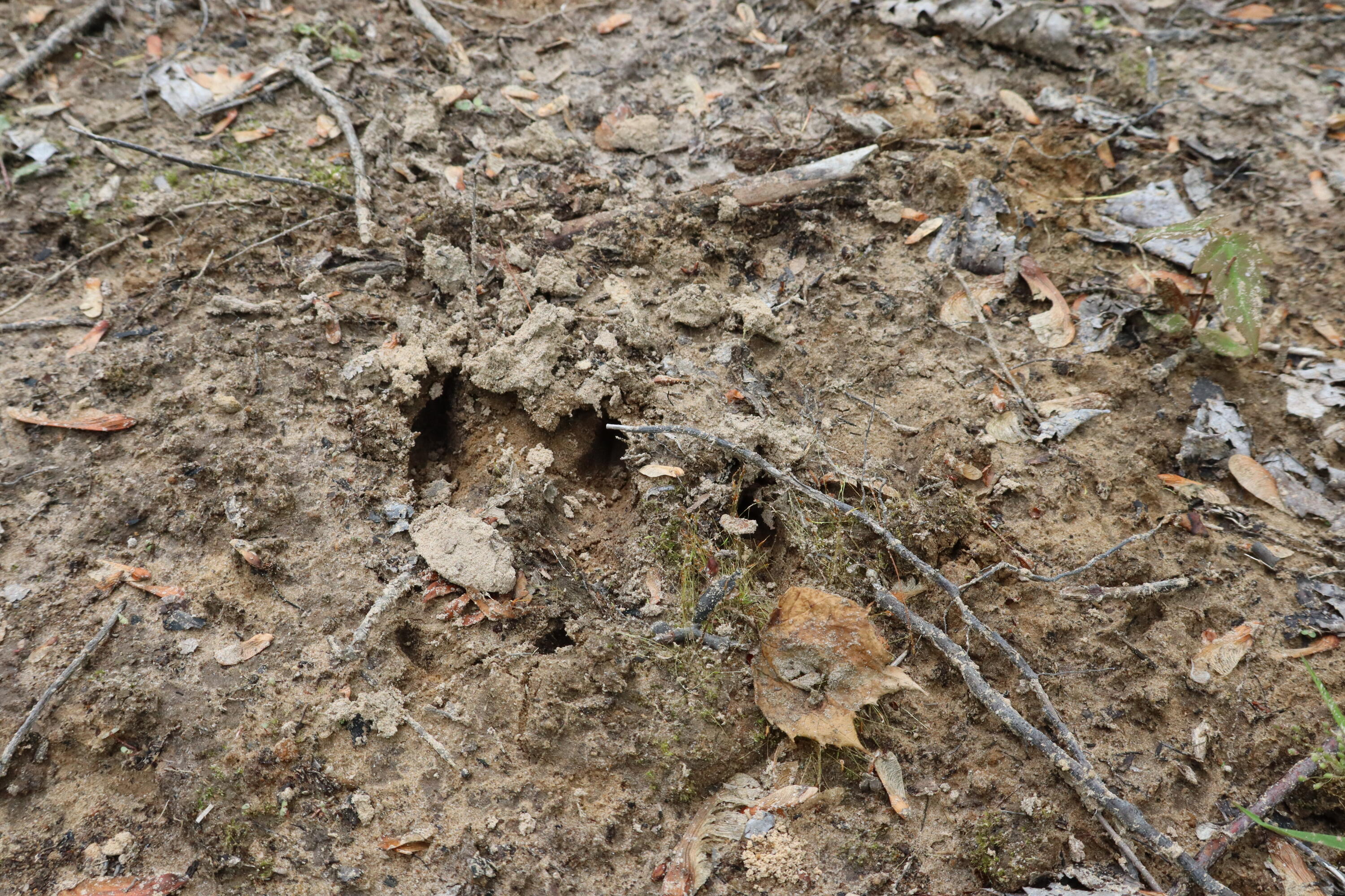 V/l North Sturgeon Road Midland, MI 48642 - Photo 35 of 36 IMG_0876