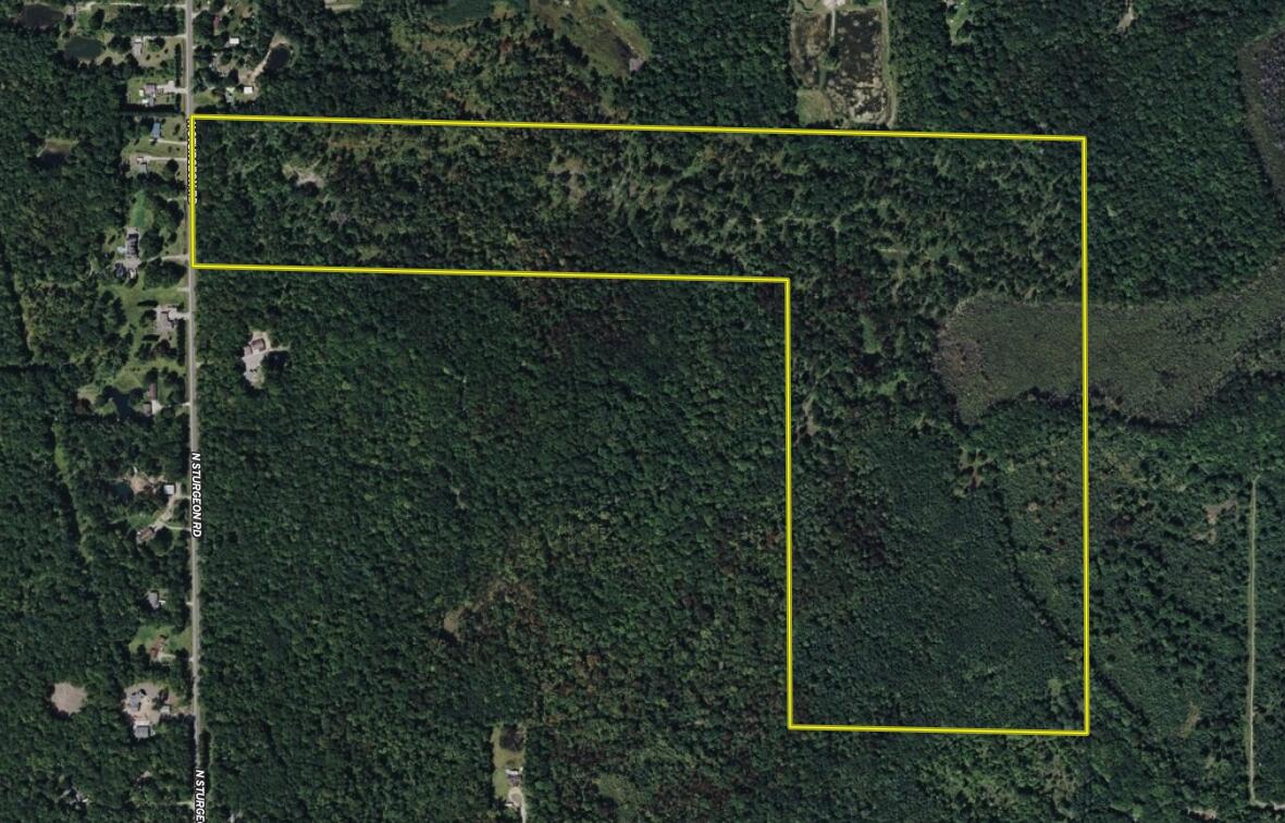 V/l North Sturgeon Road Midland, MI 48642 - Photo 36 of 36 Aerial001_Durieu_120_Midland