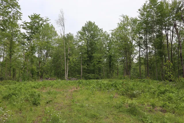 $329,500 | V/l North Sturgeon Road, Midland, MI 48642