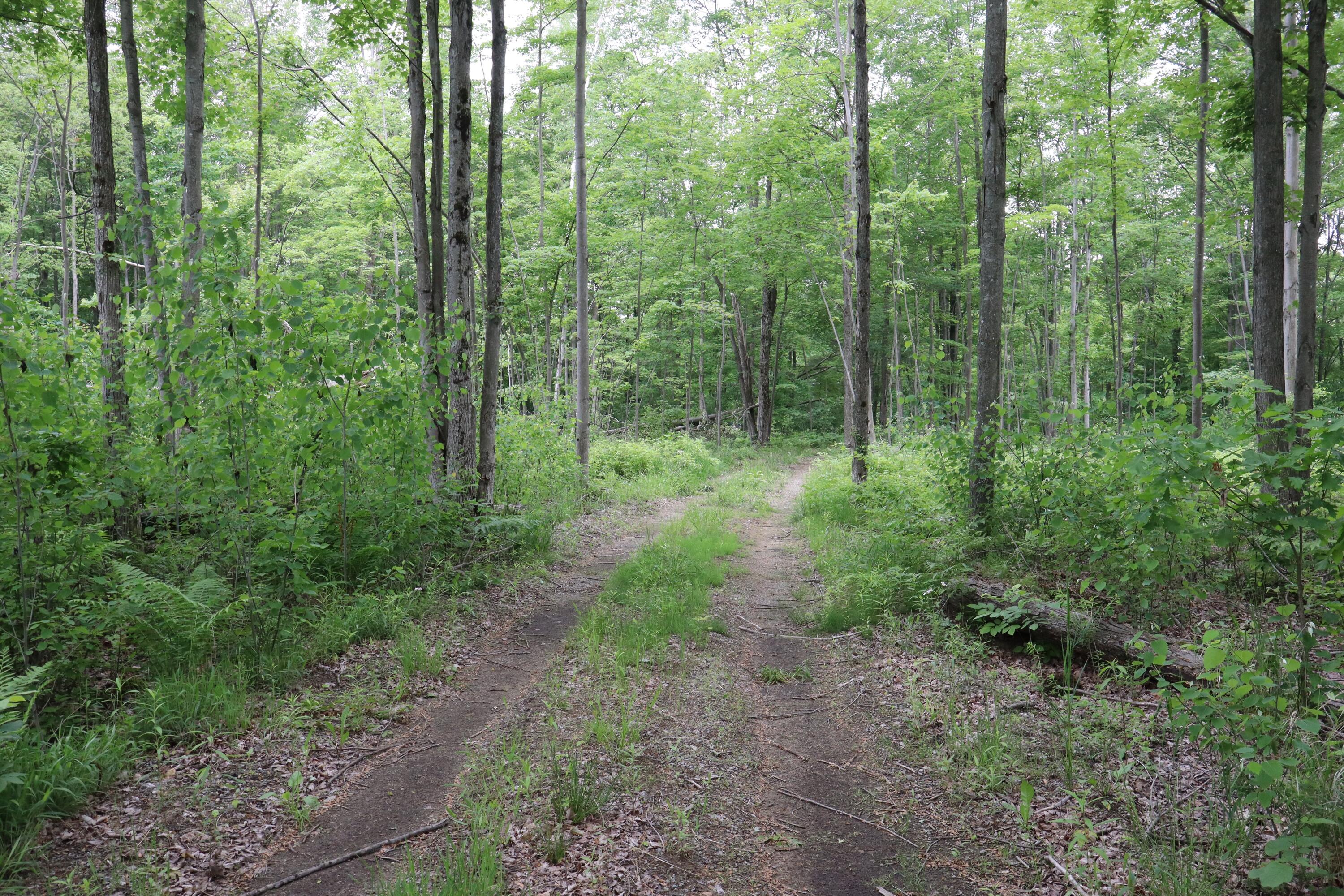 V/l North Sturgeon Road Midland, MI 48642 - Photo 6 of 36 005_D