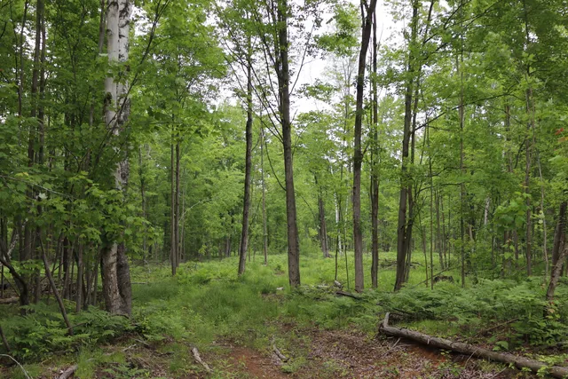 $329,500 | V/l North Sturgeon Road, Midland, MI 48642