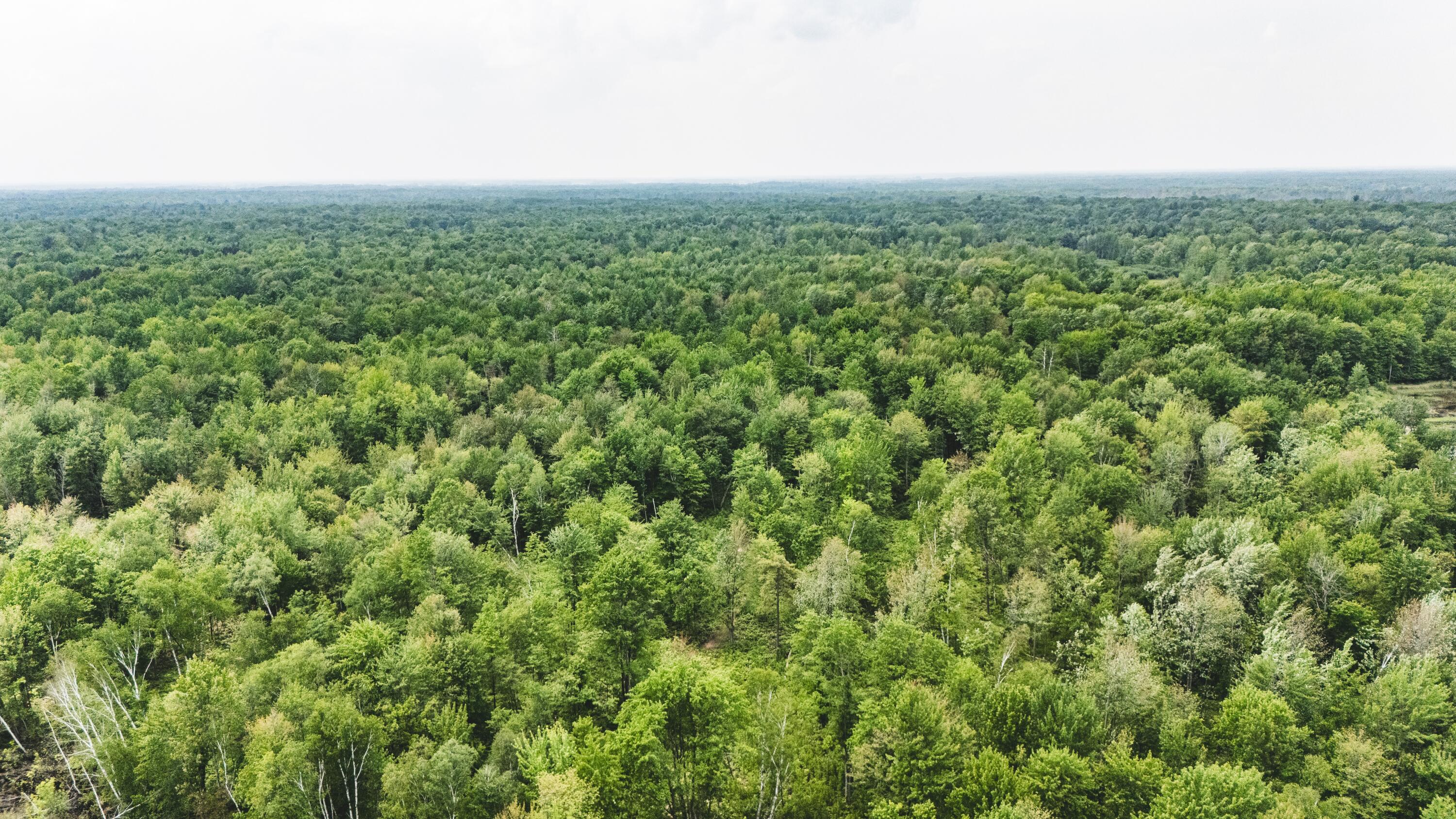 V/l North Sturgeon Road Midland, MI 48642 - Photo 10 of 36 Drone-2_D