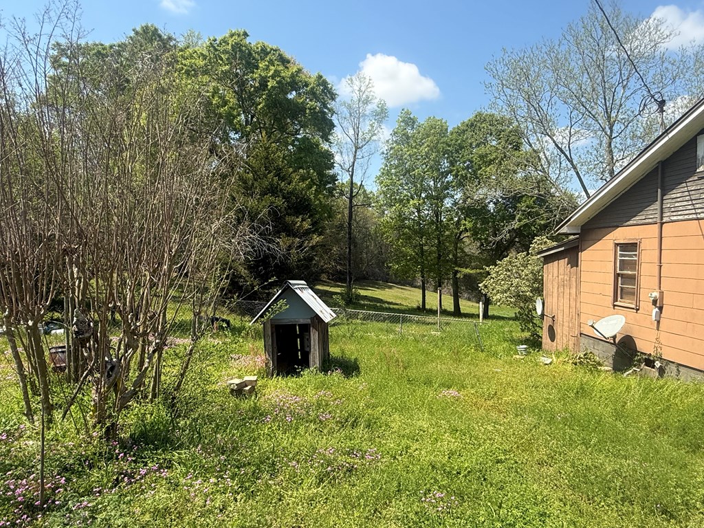 30885 Straughn School Road Andalusia, AL 36421 - Photo 5 of 16
