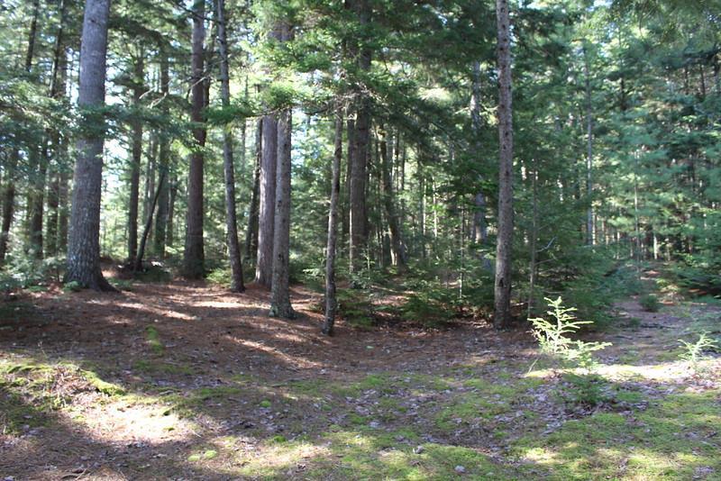 16 Shore Road Beddington, ME 04622 - Photo 16 of 35 Photo