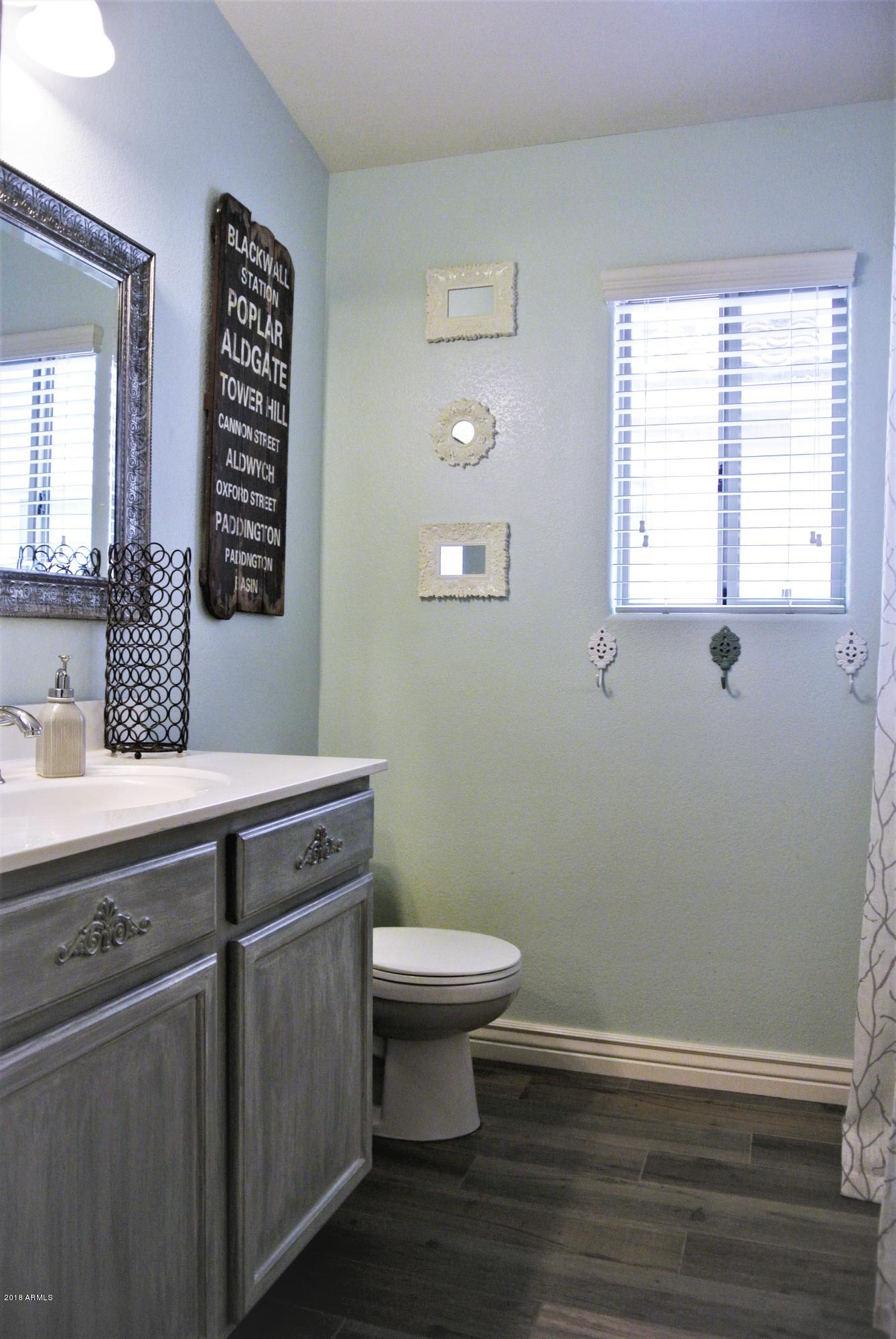 4181 East Bonanza Road Gilbert, AZ 85297 - Photo 22 of 40 Hall bathroom