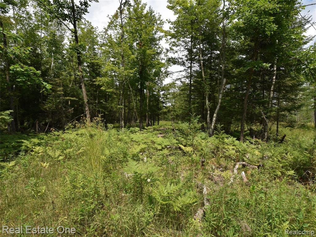 0 South Morrison Road West Branch, MI 48661 - Photo 6 of 38