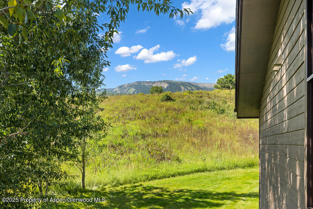 144 Meadow Road Snowmass Village, CO 81615 - Photo 25 of 25 a view of a yard