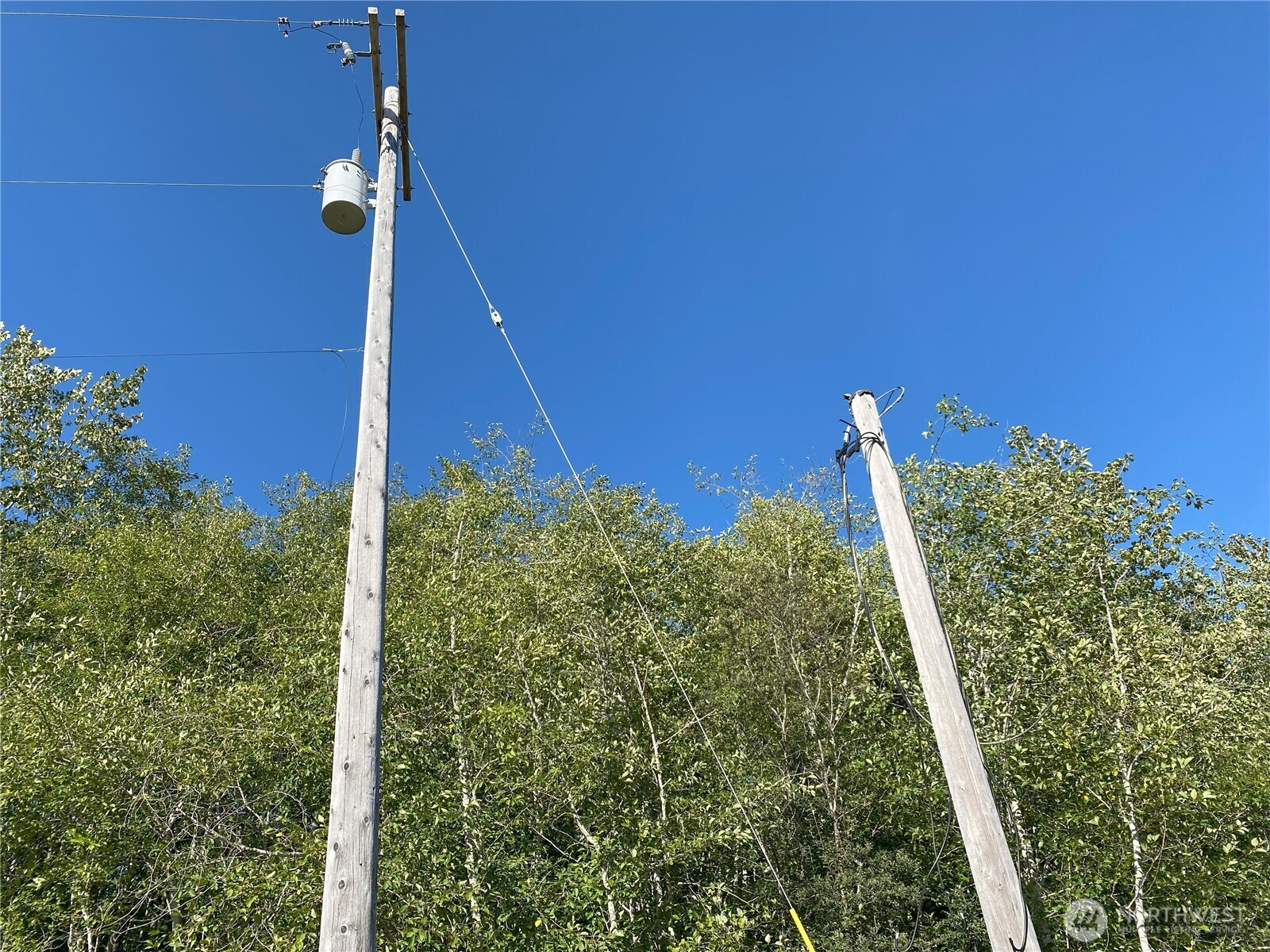565 Kallman Road Forks, WA 98331 - Photo 11 of 27 a view of a backyard