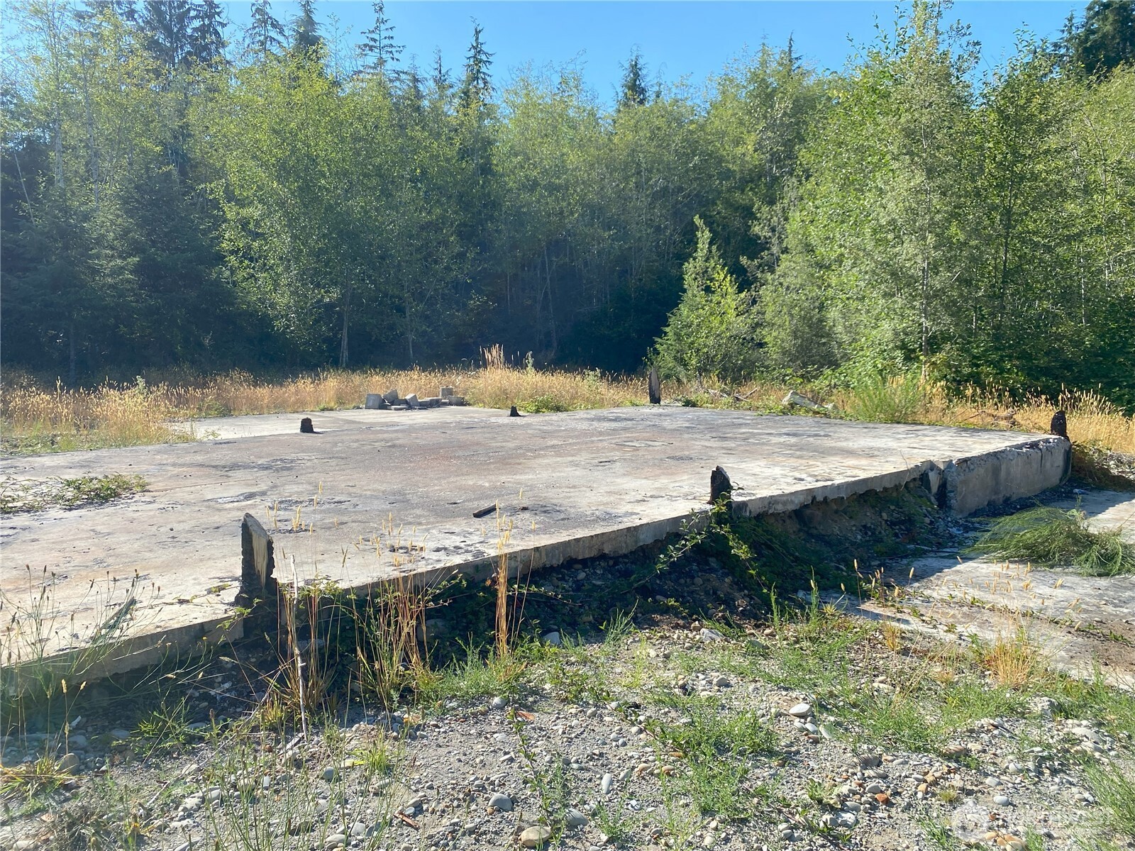 565 Kallman Road Forks, WA 98331 - Photo 12 of 27 a view of a backyard of a house with a yard
