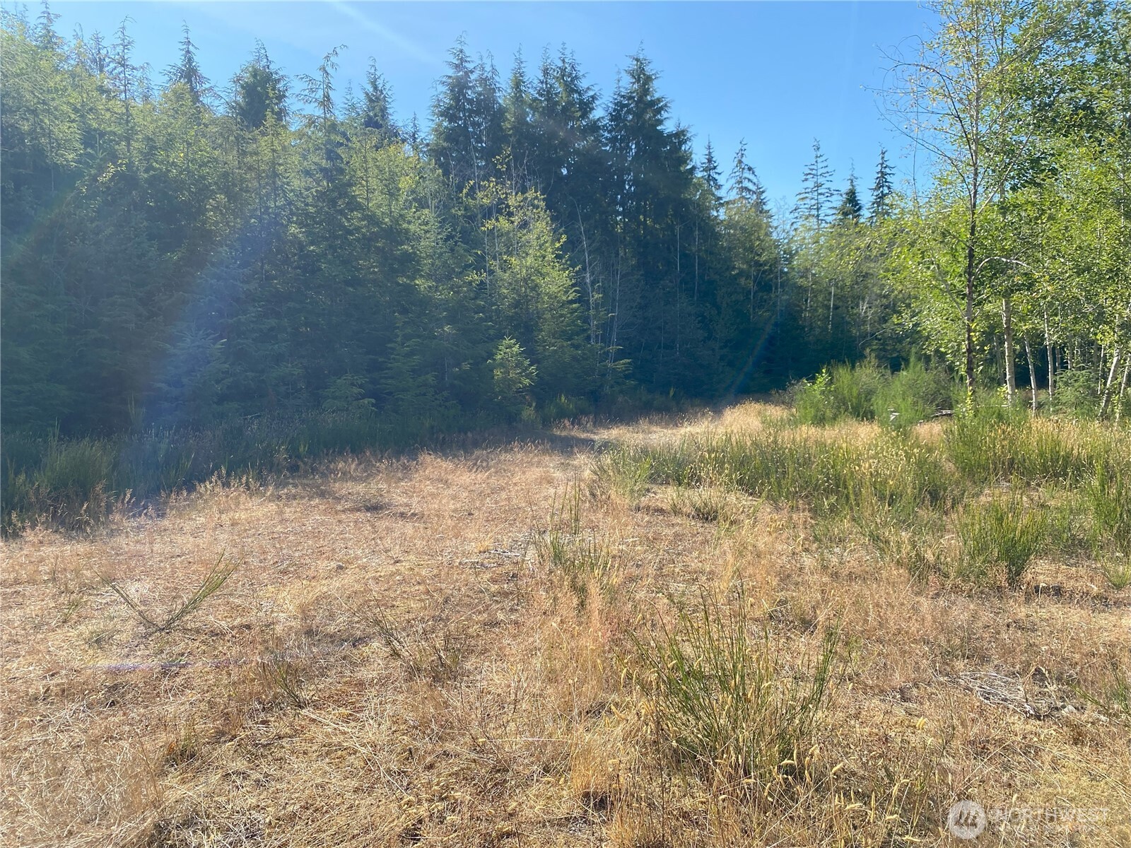 565 Kallman Road Forks, WA 98331 - Photo 15 of 27 a view of a lake view