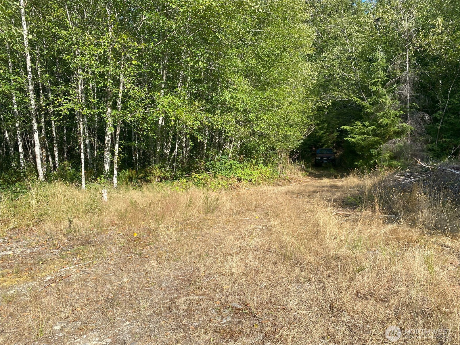 565 Kallman Road Forks, WA 98331 - Photo 17 of 27 a backyard of a house with lots of green space and trees