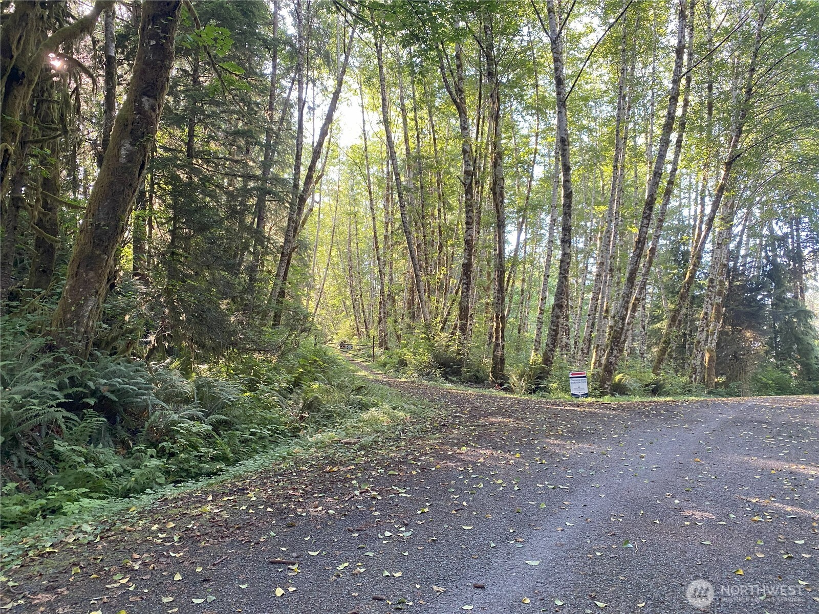 565 Kallman Road Forks, WA 98331 - Photo 27 of 27 a view of outdoor space and trees