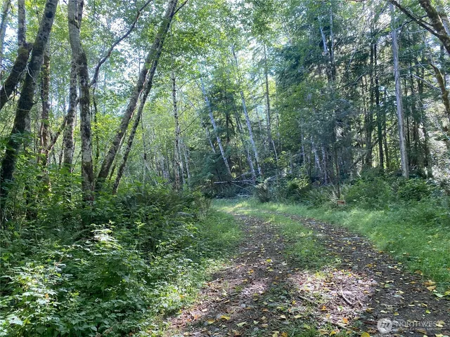 a view of outdoor space and green space